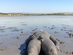 My Muddy Play