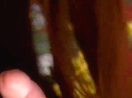Naughty teen 18+ Fuck Huge Cock In Home