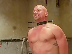 Ned and Chad in very extreme gay porn