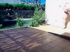 Neighbor in the yard