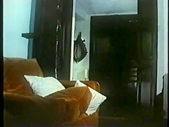 Number 41
