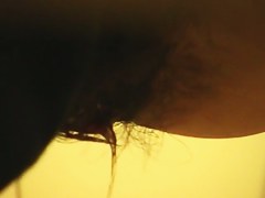 Office girls are pissing in the womens WC