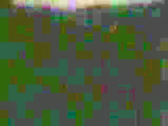 Old School IR Compilation Flick