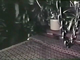 Peepshow Loops 366 70s and 80s – Scene 3