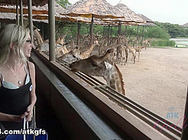 Piper Perri in Piper feeds lots of animals at Safari World - ATKGirlfriends