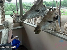 Piper Perri in Piper feeds lots of animals at Safari World - ATKGirlfriends