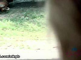 Piper Perri in Piper feeds lots of animals at Safari World - ATKGirlfriends