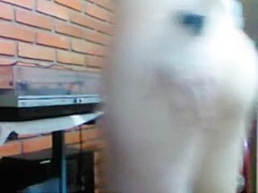 Querendo uma rola grossa e cabecuda pra foder meu cu bem gostoso  