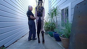 Rachel Greyhound ponygirl