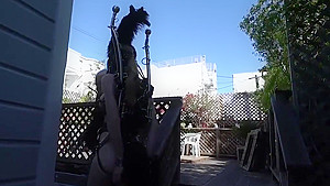 Rachel Greyhound ponygirl