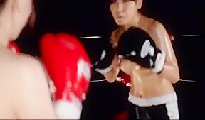 SCT-03 (Cinematic Boxing Vol 03)