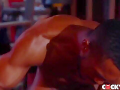 Sean Xavier And Daniel Evans - Crazy Xxx Movie Homosexual Bareback Watch Pretty One