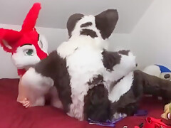 Sei N In Prends Cette Furry A Gros Comme Une Chienne