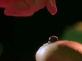 Sexy ass celebrity old crush, big nipples Stacy dash her self