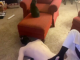 Sissy Wears Bodystocking Gets Tied Up By Sexy Femdom