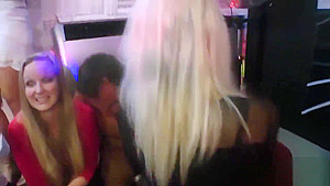 Slutty kittens get entirely crazy and stripped at hardcore party