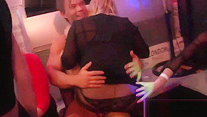 Slutty kittens get entirely crazy and stripped at hardcore party