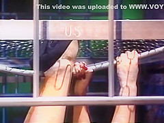 Steve Hatcher Like To Bang His Girls In A Cage