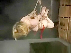 Strung Up Secretary