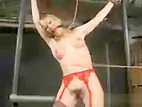 Strung Up Secretary