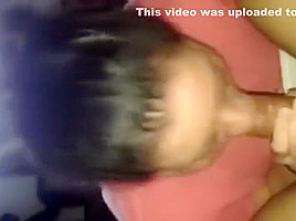Sucking long cock