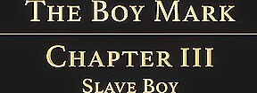 THE BOY MARK Chapter 3 - Slave Boy