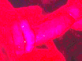 Take Me Away During Party & Fuck Me