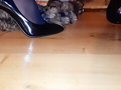 The Slave Worships The Legs In Pointed Shoes  Shoes Fetish  The Slave Kisses And Licks The Shoes
