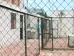 Their Secret Place