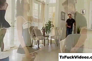 Tranny Maid Is Barebacked By Her Boss - Jade Venus