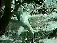 Turtle Dance