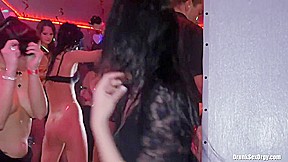 Valentine's Day Vaginas 5 [720p]2012-03-20 1280