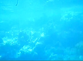 Vintage - Nude on Tiger Reef (1965)
