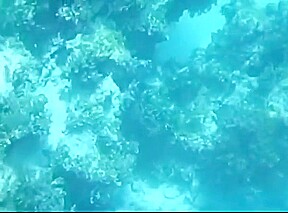 Vintage - Nude on Tiger Reef (1965)