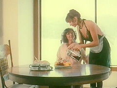 Vintage Porn Movie Released In 1984 With Honey Wilder And Kay Parker