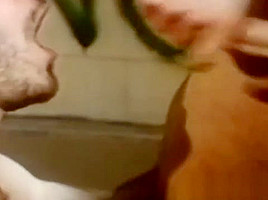Vintage homosexual guy takes turn sucking big hairy dicks