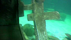 Virtual Vacation In Las Vegas With Eliza Jane Part 1