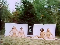 Vixens of Kung Fu A Tale of Yin Yang