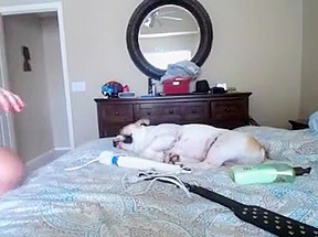 Watch Exclusive Babe, Big Tits, Blonde Scene Watch Show