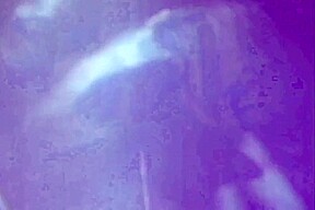 Woman - (restyling Movie In Full Hd Version) - Black Magic