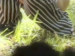 Women spied in forest pissing