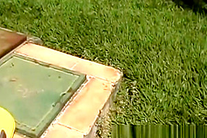 anal Wrecking outdoors With concupiscent Latin tranny