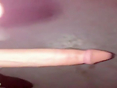 bookstore bj