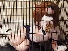 cocoasoft japanese bondage breathplay kigurumi bondage wsm_mikeneko_cage