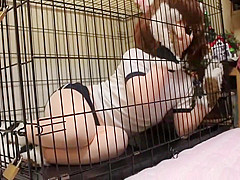 cocoasoft japanese bondage breathplay kigurumi bondage wsm_mikeneko_cage