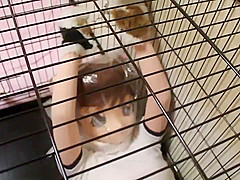 cocoasoft japanese bondage breathplay kigurumi bondage wsm_mikeneko_cage