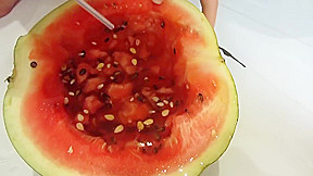 cute bbw, pissing in watermelon  (good clip)