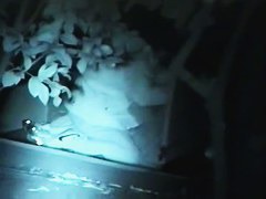 films lovebirds having sex at night outside in clothing