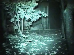 films lovebirds having sex at night outside in clothing