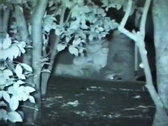 films lovebirds having sex at night outside in clothing